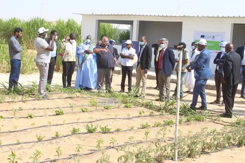  اطلاق مشروع للزراعة وتنمية الدواجن لشباب مقاطعة الرياض